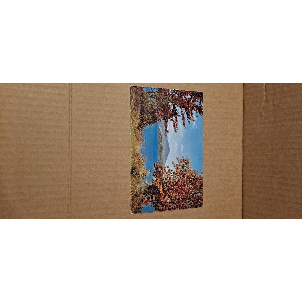 Vintage postcard 1960s-70s Autumn Vista A Dexter Beauty Scene